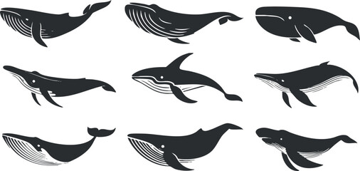 Wall Mural - Stylized illustrations of various whale species in black and white on a clean background..