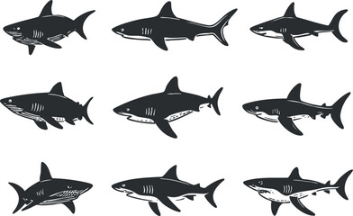 Wall Mural - A collection of black shark illustrations showcasing different species and poses for educational purposes..