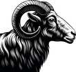 © MDSHAHIN - Black line art vector illustration of a goat head or ram sketch, great for a tattoo design or animal symbol