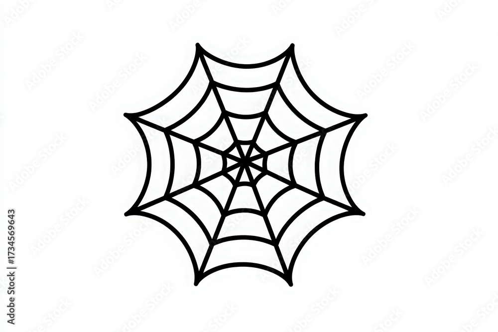 A detailed spider web is displayed against a white background. The web features symmetrical patterns with fine lines radiating from the center, showcasing elegance and structure in nature.