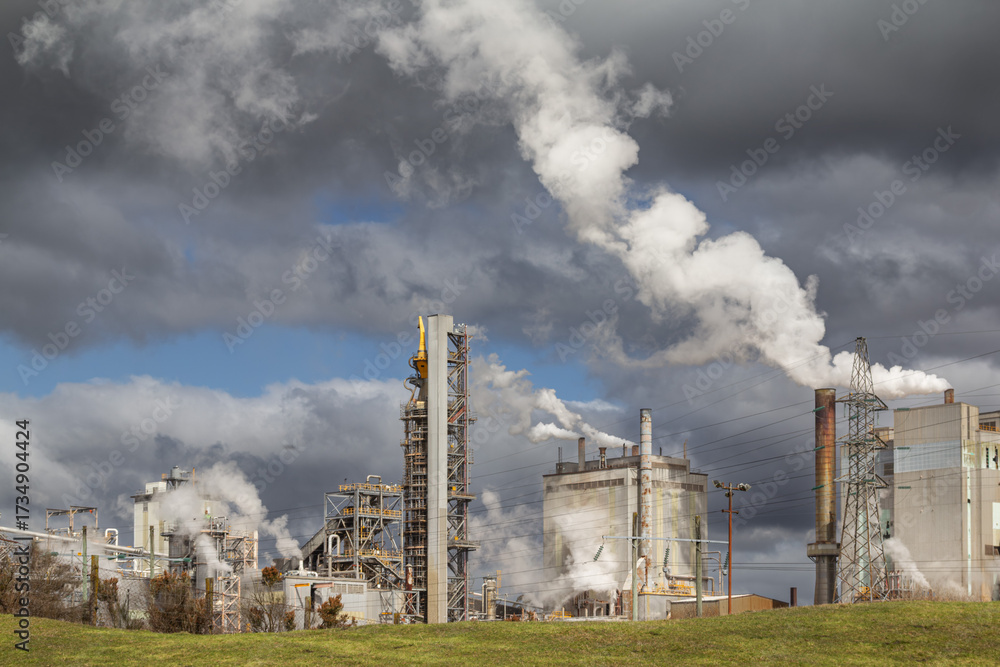 Pulp Nz Kinleith Mill pulp and paper mill, New Zealand. Photo taken shortly ...