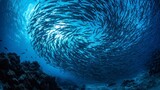 School of fish underwater spiral