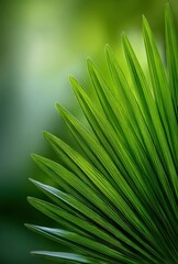 Wall Mural - Lush Green Palm Leaf Close-Up: A Vibrant Botanical Image Showcasing Natural Textures and Greenery