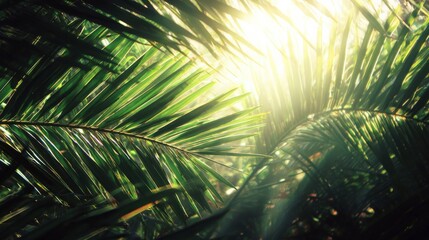 Wall Mural - Lush Palm Fronds with Sunbeams: Exotic Greenery and Vibrant Light, Capturing Tropical Beauty and Serenity