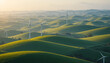 © Shazil - Rolling Green Hills Bathed in Golden Sunlight with Wind Turbines Dotting the Landscape