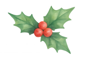 Wall Mural - Christmas holly sprig watercolor painting with red berries and green leaves illustrating holiday season