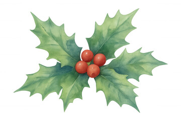 Wall Mural - Christmas holly leaves and berries watercolor artwork, festive holiday season decorative plant element, transparent background
