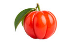 Garcinia cambogia fruit close up shot with leaf on black background on transparent background