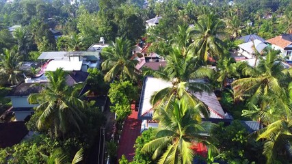 Wall Mural - An immersive drone shot moves through the dense tropical canopy of a rural Kerala village, revealing traditional homes and winding pathways hidden beneath a sea of vibrant green foliage.