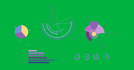 Wall Mural - Animation of diverse data, graphs and charts over transparent background
