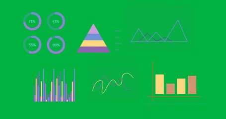 Wall Mural - Animation of diverse data, graphs and charts over transparent background