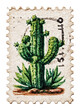 © Rawpixel.com - PNG Vintage cactus postage stamp art.