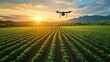 © smalltinykid - Drone flying over a vast green farm field with evenly spaced crops during sunrise with mountains in the background under a partly cloudy sky