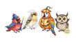 © Murshida - Halloween Bird Crew: Adorable birds dressed in enchanting costumes. From a charming cardinal wizard with a star wand, a spooky goldfinch ghost, a vibrant pumpkin parrot, and a wise owl vampire.