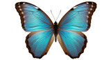 Striking blue morpho butterfly isolated PNG, vibrant tropical insect with intricate wing patterns on transparent background