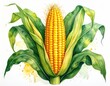 © Amr - Detailed illustration of a corn cob with vibrant leaves