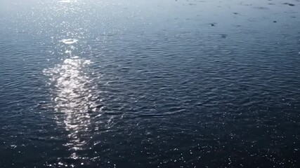 Wall Mural - Thousands of tiny hail pellets continuously fall onto a calm, dark lake surface, creating mesmerizing ripple patterns under soft, diffused light outdoors, drops, storm