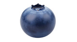Isolated blueberry close up, ripe and ready to eat, healthy single fruit still life detail