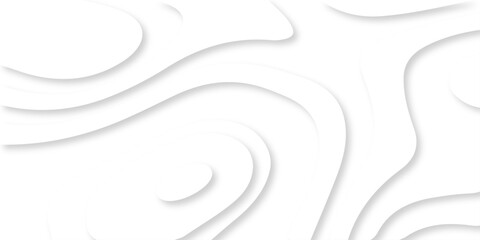 Wall Mural -  Luxury diamond creative topography map background vector natural shadow papercut web topography map spiral line. white light dynamic smooth cover origami papercut texture background.