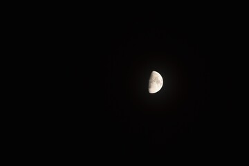 Wall Mural - half moon shining floating on sky in night 