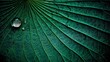 © Shu - moisture. A single water droplet rolling across a large green lotus leaf. gardening catalogs, home-decor guides, designed for home decor and floral branding, enhances decor appeal.