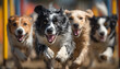 © Audrey - Pro dog trainer leads energetic group of dogs through outdoor agility course. Dogs jump over obstacles showing enthusiasm, skill. Focus on canine fitness, training, happy pets enjoying activity.