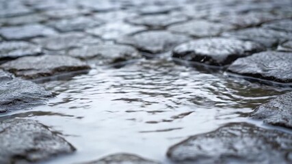 Wall Mural - Close-up of raindrops creating concentric ripples in a large puddle on a cobblestone street, lit by soft, diffused light with a locked-off shot peaceful, droplets, advertising