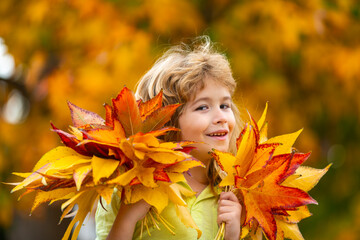 Wall Mural - Portrait of child near yellow leaf. Cute kids face in autumn falling day. Autumn foliage with dreamy kid boy. Leaves for children.