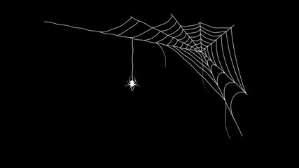 Spider on a web in the dark.