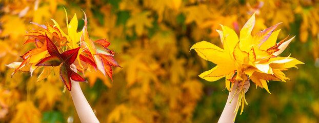 Wall Mural - Kids hands holding a bright autumn leaf. Fall foliage concept. Child playing with yellow and orange leaves hold in hand leaves. Maple leaves in kids hands. Leaf in child hand. Falling autumn leaves.