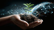© Marin Studio - Hands holding a growing plant with digital network and planet earth.