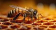 © Popelniushka - Dedicated Buzzing Bee Crafting Sweet Honey within Intricate Honeycomb in Nature's Hive