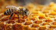 © Popelniushka - Energetic Bee Crafting Sweet Nectar on Honeycomb in Vibrant Hive