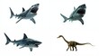 © Alis - A set of four different types sharks background expression design composition emotion frame movement scene motion colorful cartoonish backgrounds gesture creative illustration elements