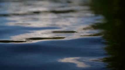 Wall Mural - A slow, macro close-up reveals abstract, ever-changing light patterns dancing on the surface of a tranquil lake reflection, light patterns, natural