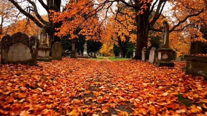 Wall Mural - Tracking shot along a winding pathway covered in vibrant autumn leaves within a quiet cemetery autumn season, golden hour, season