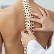 © MDBadrul - Chiropractor examining a human spine model with patient s back visible