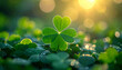 © hardvicore - Clover with four leaves among green clovers, glowing sunlight, symbol of prosperity and good luck