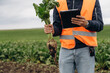 © standret - Male farmer is standing and holding beet on the agricultural field