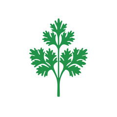 A coriander leaf illustration, digital painting, coriander illustration in watercolor style, isolated on a white background, leaf collection, EPS format design