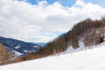 Wall Mural - mountain landscape in winter. cloudy sky. scenery with deciduous forest on the snow covered hill. uzh national natural park