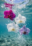 Underwater orchids in a crystalline aquatic environment with air bubbles