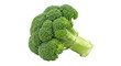 © Niamh - Fresh green broccoli isolated, healthy vegetable for cooking and vegetarian diet PNG