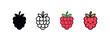 © Lera - Vector icon raspberry four styles black solid glyph outline minimal flat multicolor filled cartoon flat shaded.