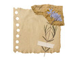 © Anna - Vintage Torn Note Paper with Dried Flowers and Handwritten Notebook. Retro scrapbooking ephemera elements with tape and old texture for collage, journaling and creative craft collection