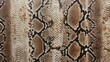 © Murtiawan - Detailed snake skin pattern with brown and black markings, close-up view.