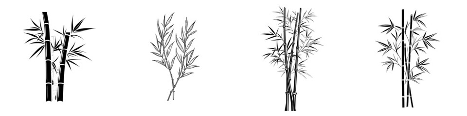 bamboo is represented as a modern icon isolated on a white background