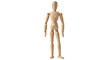 © Leon - Isolated art mannequin figure stands with one knee bent, wooden anatomical reference tool