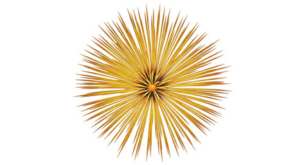 Isolated object is a golden spiky sphere with a dense arrangement of rays pointing outward
