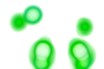 Wall Mural - Green glowing light spots on transparent background. Abstract round soft blur highlights, bright luminous circles with smooth edges. Digital glow effect for overlays, decoration and creative design.